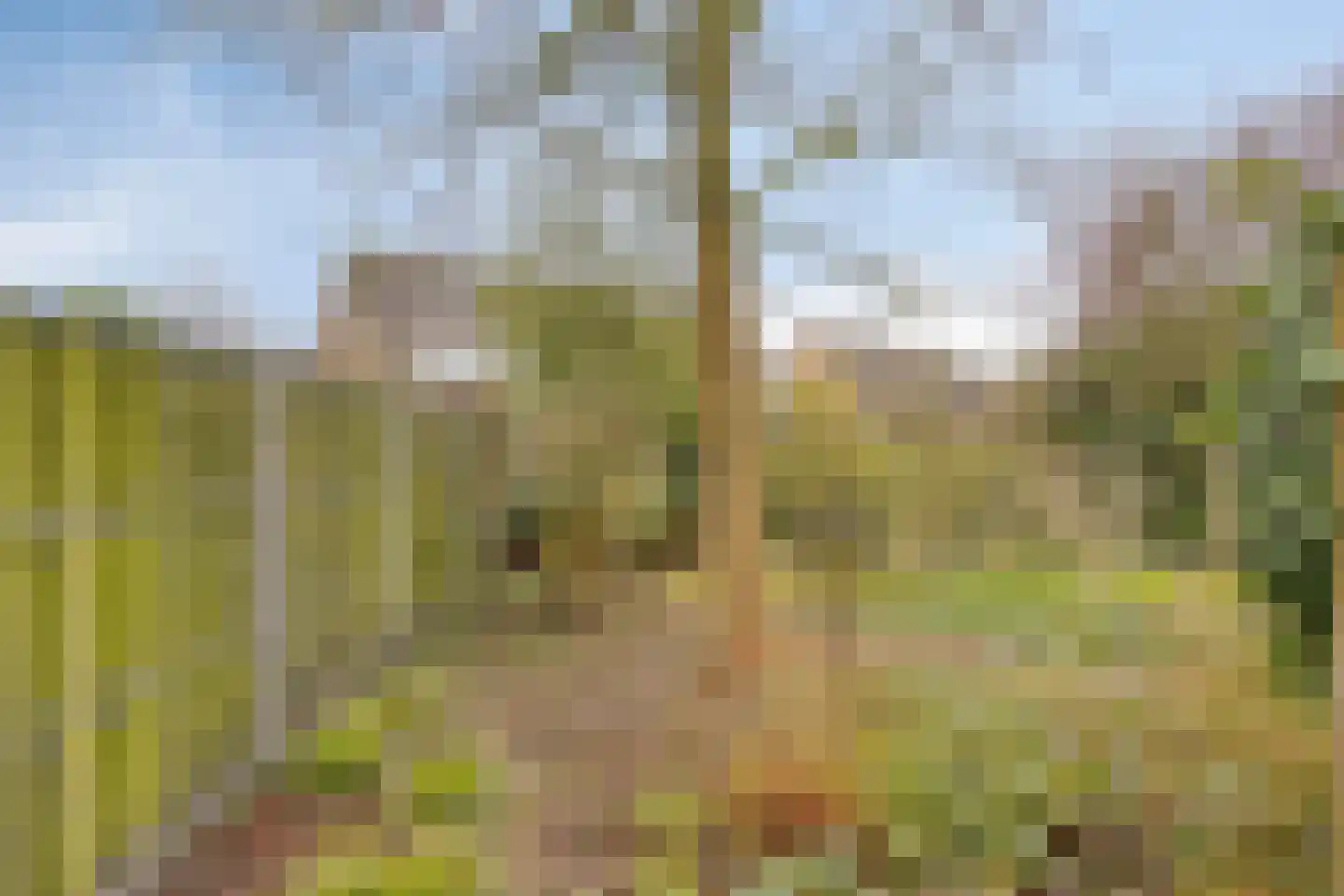 Trajanussingel 13 Beuningen Gld thumbnail 62