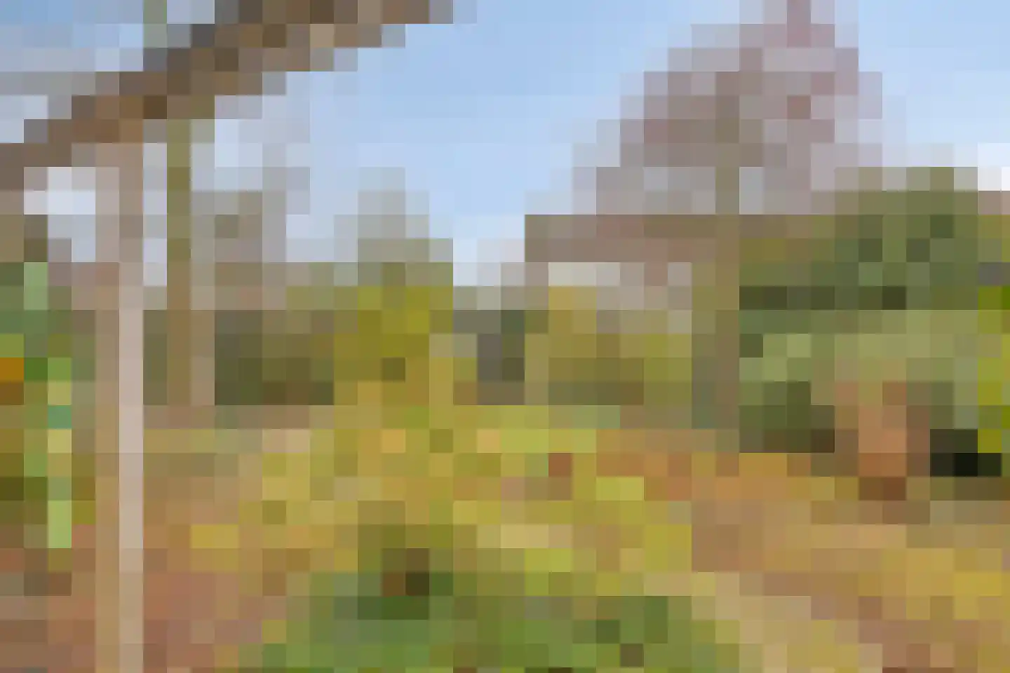 Trajanussingel 13 Beuningen Gld thumbnail 63