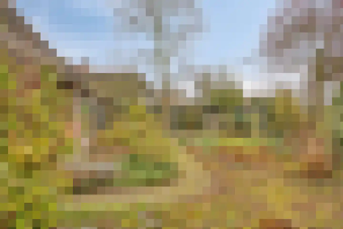Trajanussingel 13 Beuningen Gld thumbnail 64