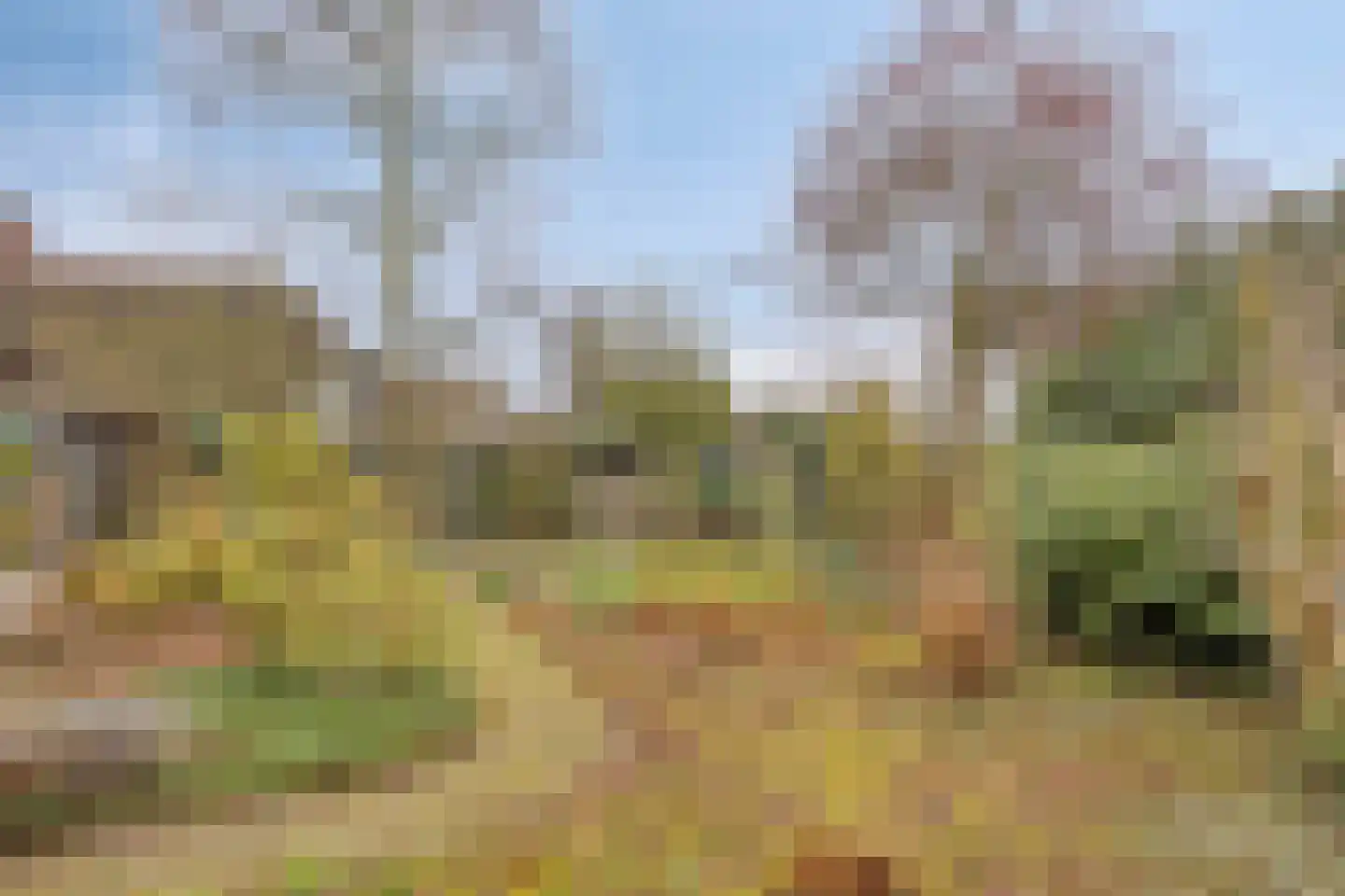 Trajanussingel 13 Beuningen Gld thumbnail 65