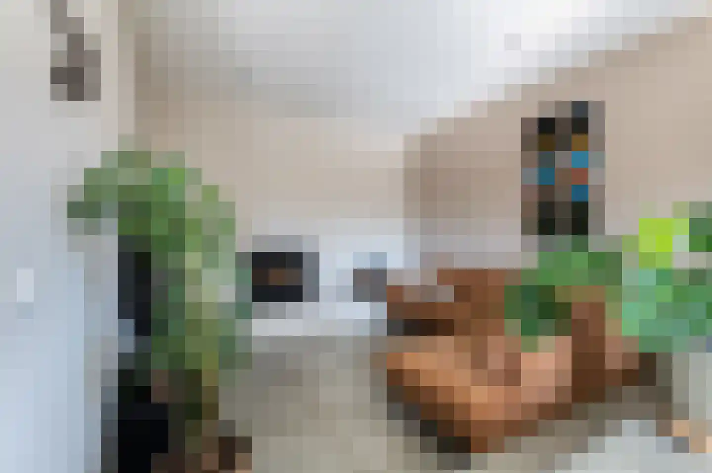 Traland 1 Eibergen thumbnail 12