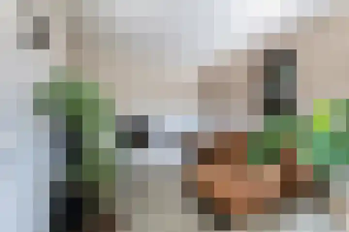 Traland 1 Eibergen thumbnail 12