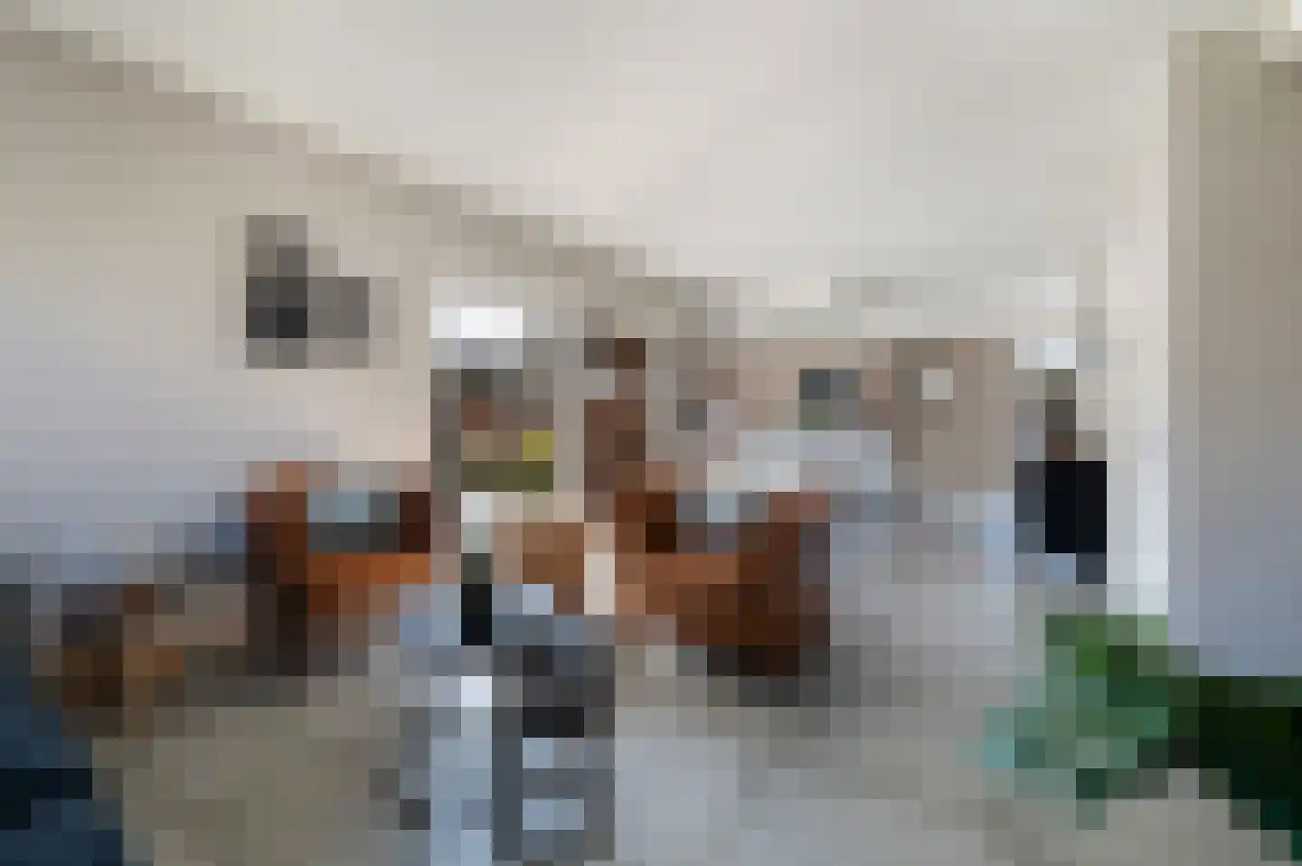 Traland 1 Eibergen thumbnail 14