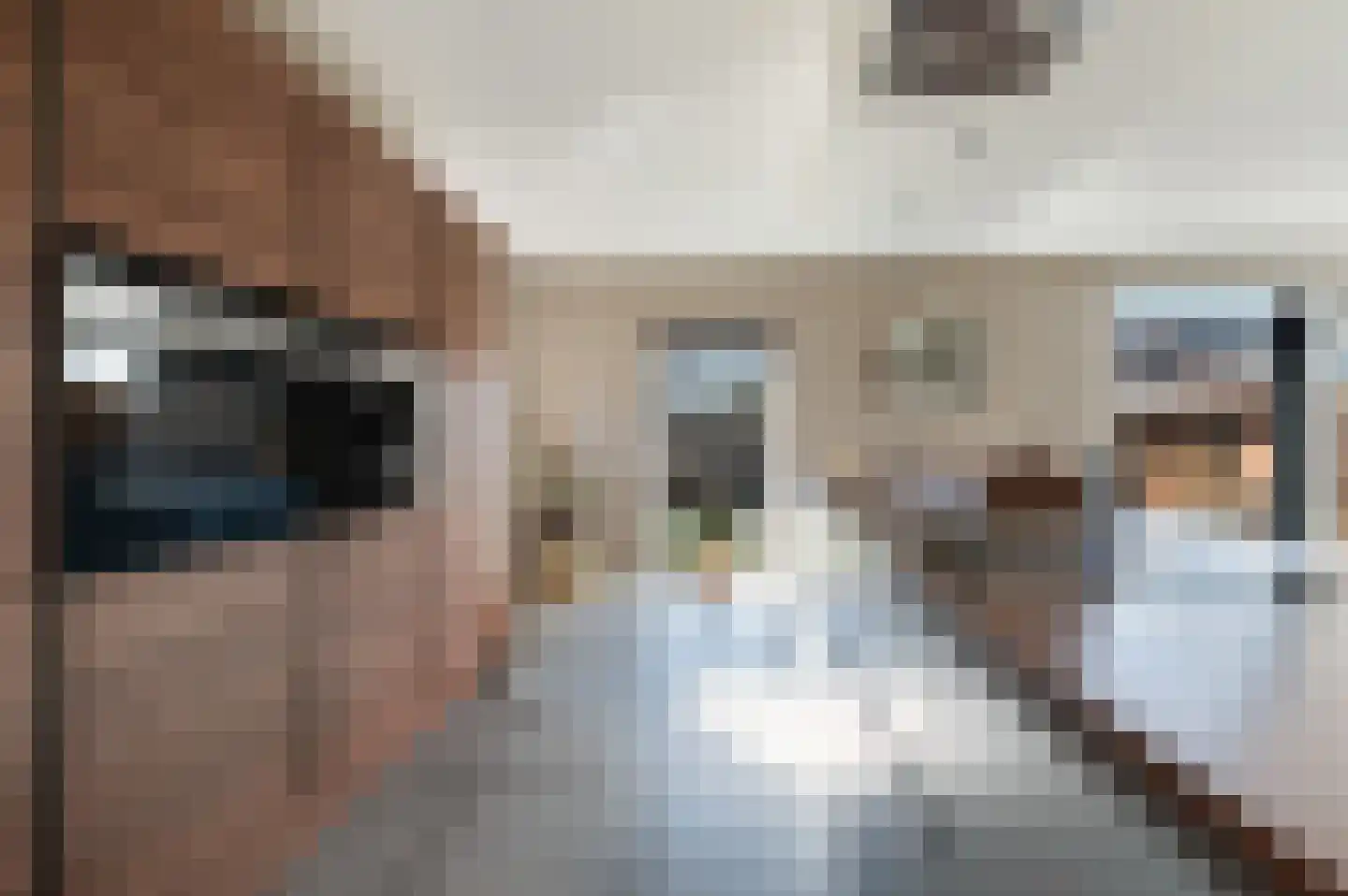Traland 1 Eibergen thumbnail 17