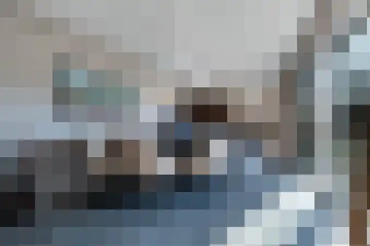 Traland 1 Eibergen thumbnail 21