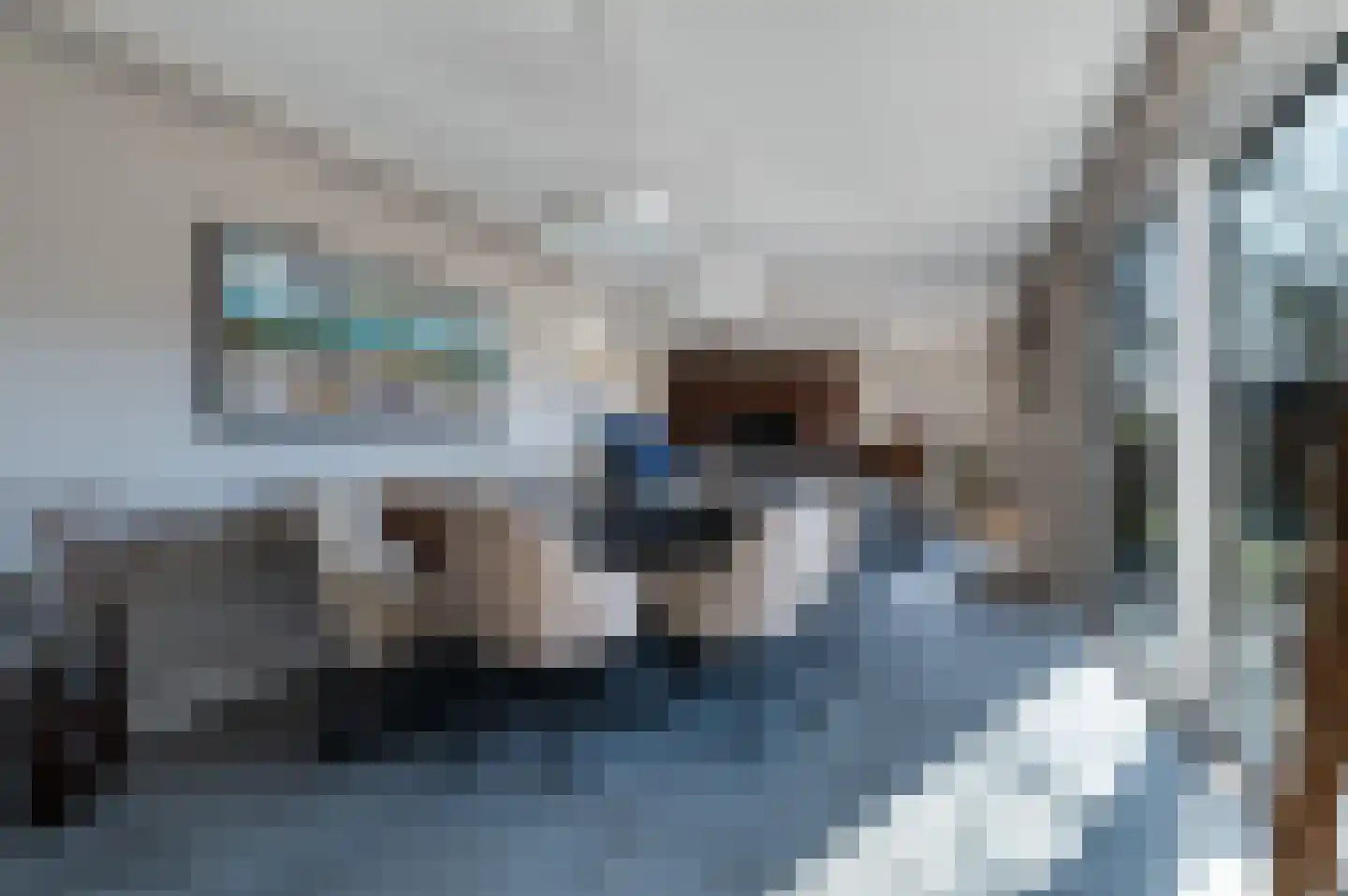 Traland 1 Eibergen thumbnail 21