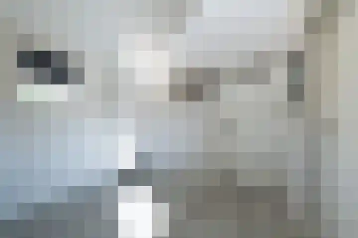 Traland 1 Eibergen thumbnail 23