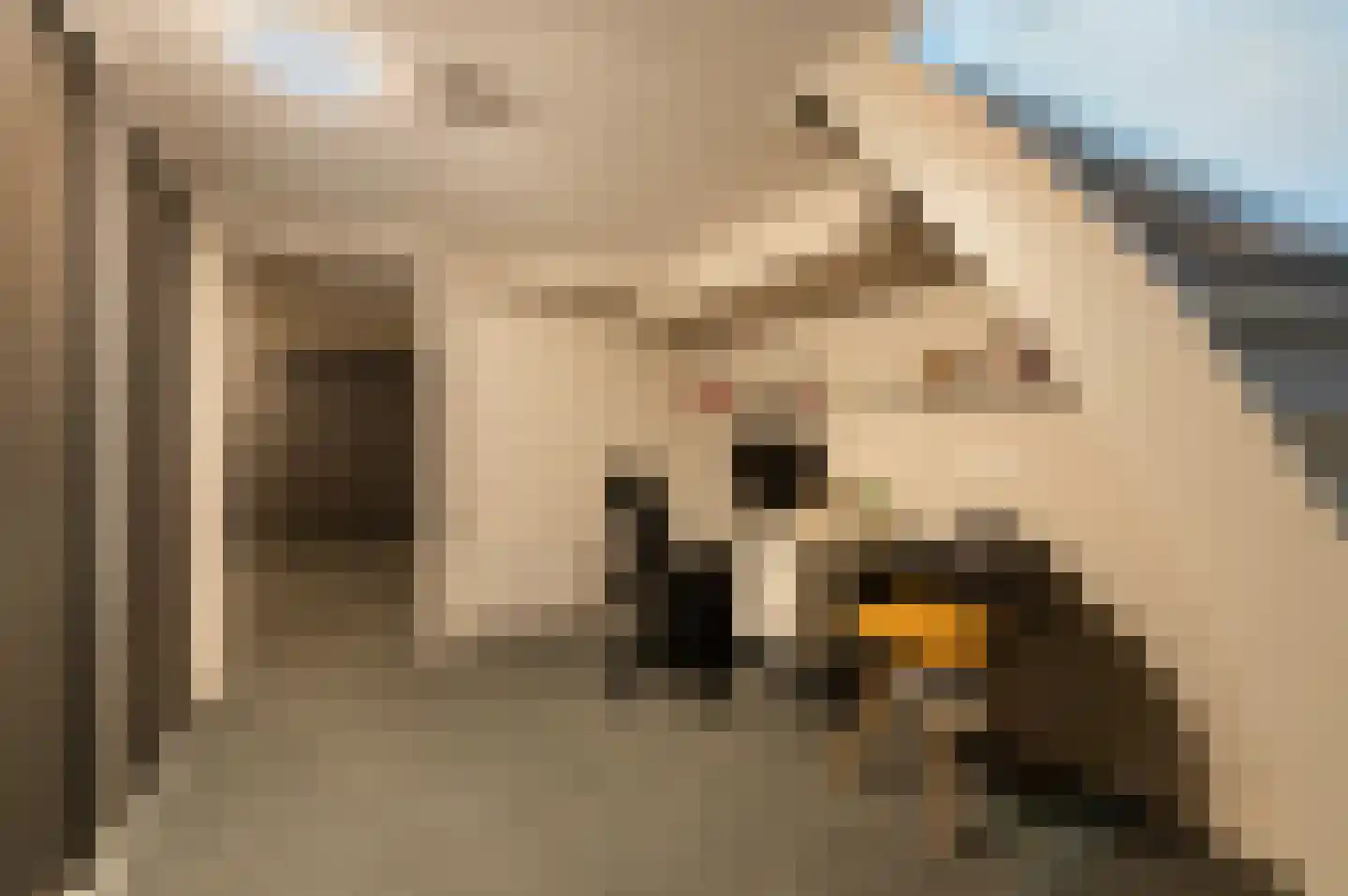 Traland 1 Eibergen thumbnail 24