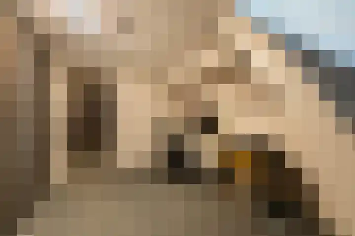 Traland 1 Eibergen thumbnail 24