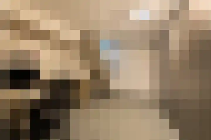Traland 1 Eibergen thumbnail 25
