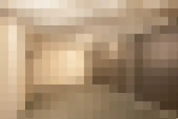 Traland 1 Eibergen thumbnail 26