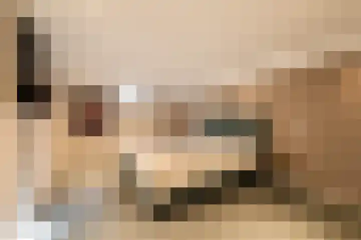 Traland 1 Eibergen thumbnail 28
