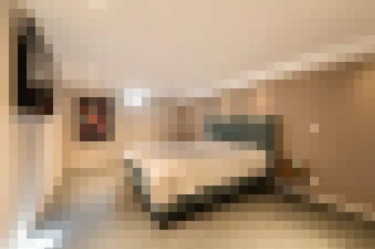 Traland 1 Eibergen thumbnail 28