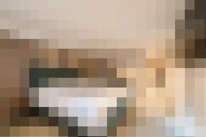 Traland 1 Eibergen thumbnail 29