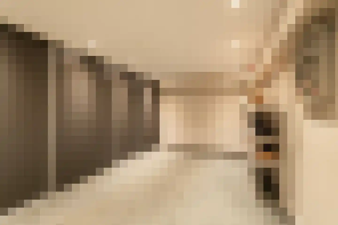 Traland 1 Eibergen thumbnail 30