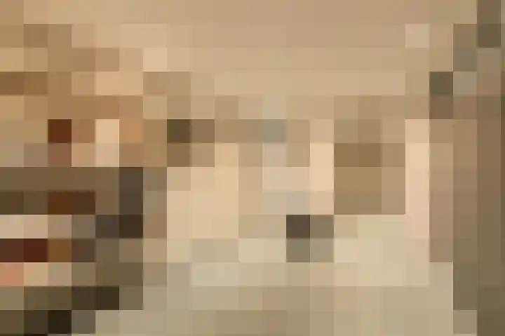 Traland 1 Eibergen thumbnail 31