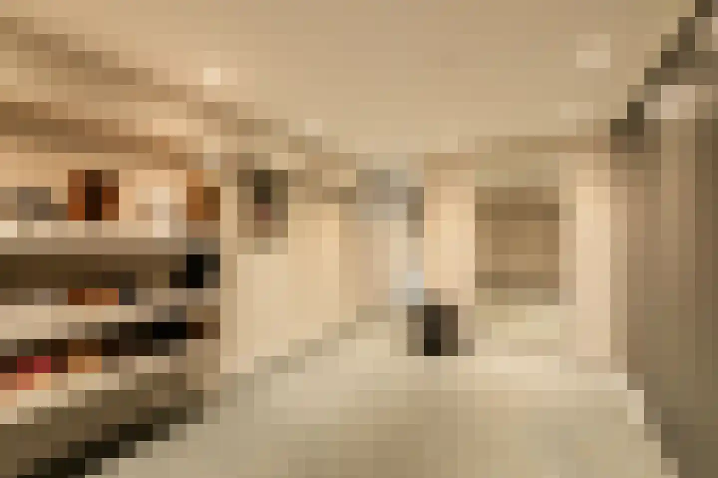 Traland 1 Eibergen thumbnail 31