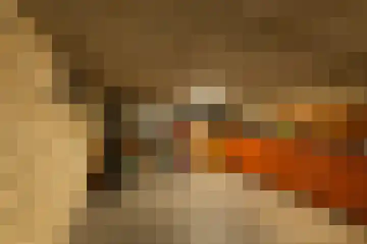Traland 1 Eibergen thumbnail 34