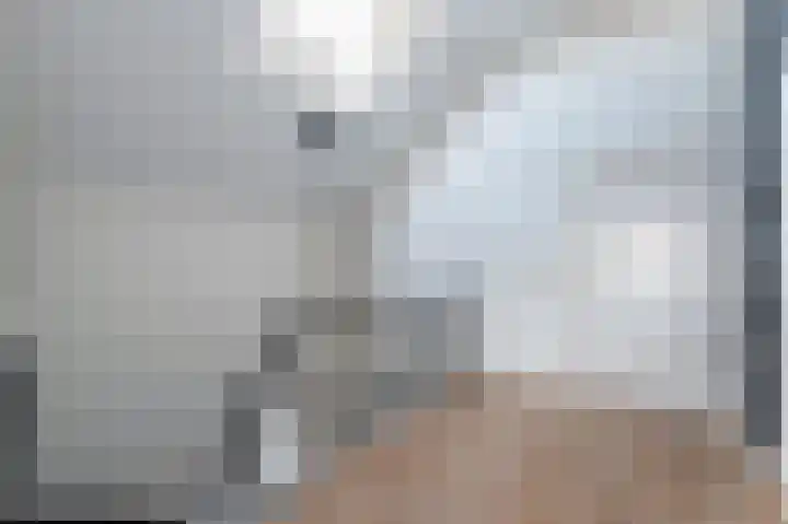 Traland 1 Eibergen thumbnail 36