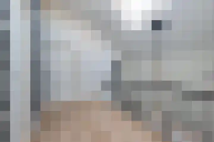 Traland 1 Eibergen thumbnail 37