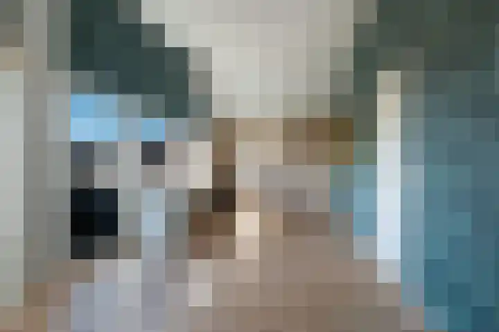 Traland 1 Eibergen thumbnail 39