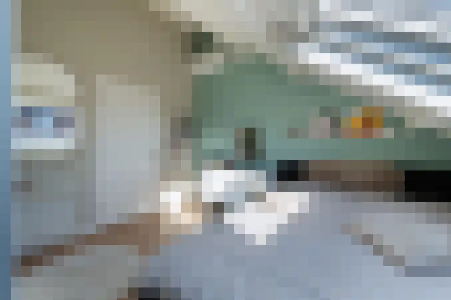 Traland 1 Eibergen thumbnail 41