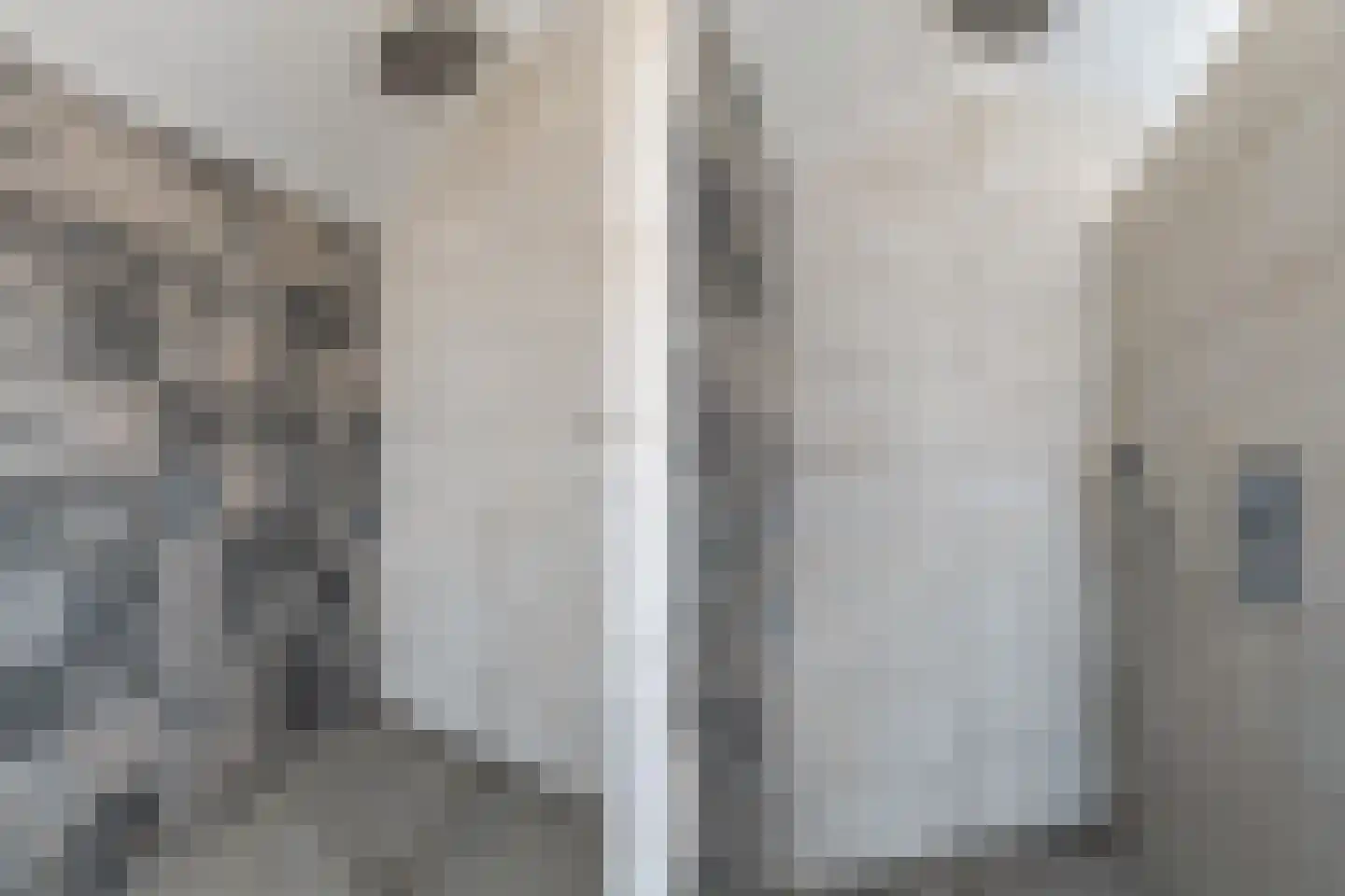 Traland 1 Eibergen thumbnail 45