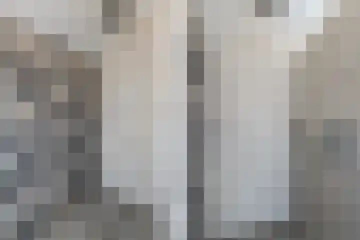 Traland 1 Eibergen thumbnail 45