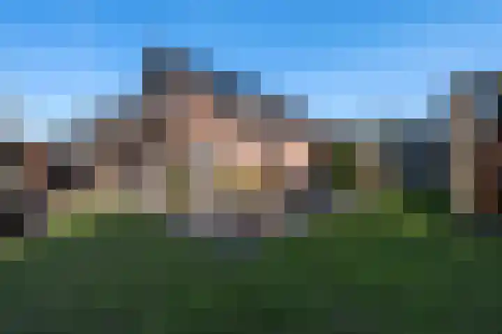 Traland 1 Eibergen thumbnail 48