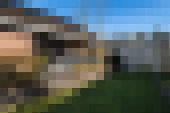 Traland 1 Eibergen thumbnail 49