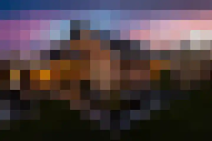 Traland 1 Eibergen thumbnail 5