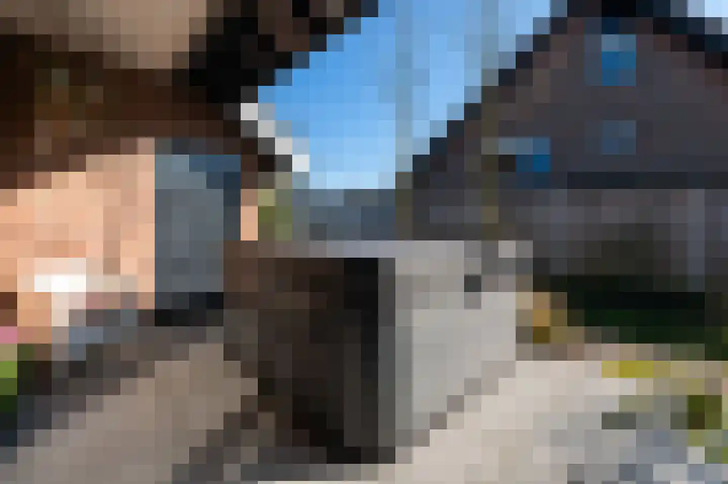 Traland 1 Eibergen thumbnail 50