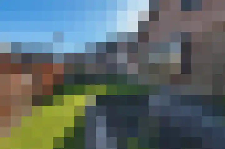 Traland 1 Eibergen thumbnail 52