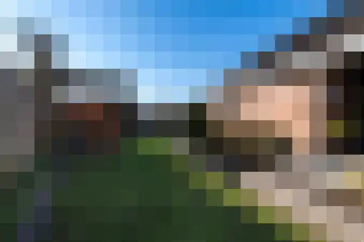 Traland 1 Eibergen thumbnail 53