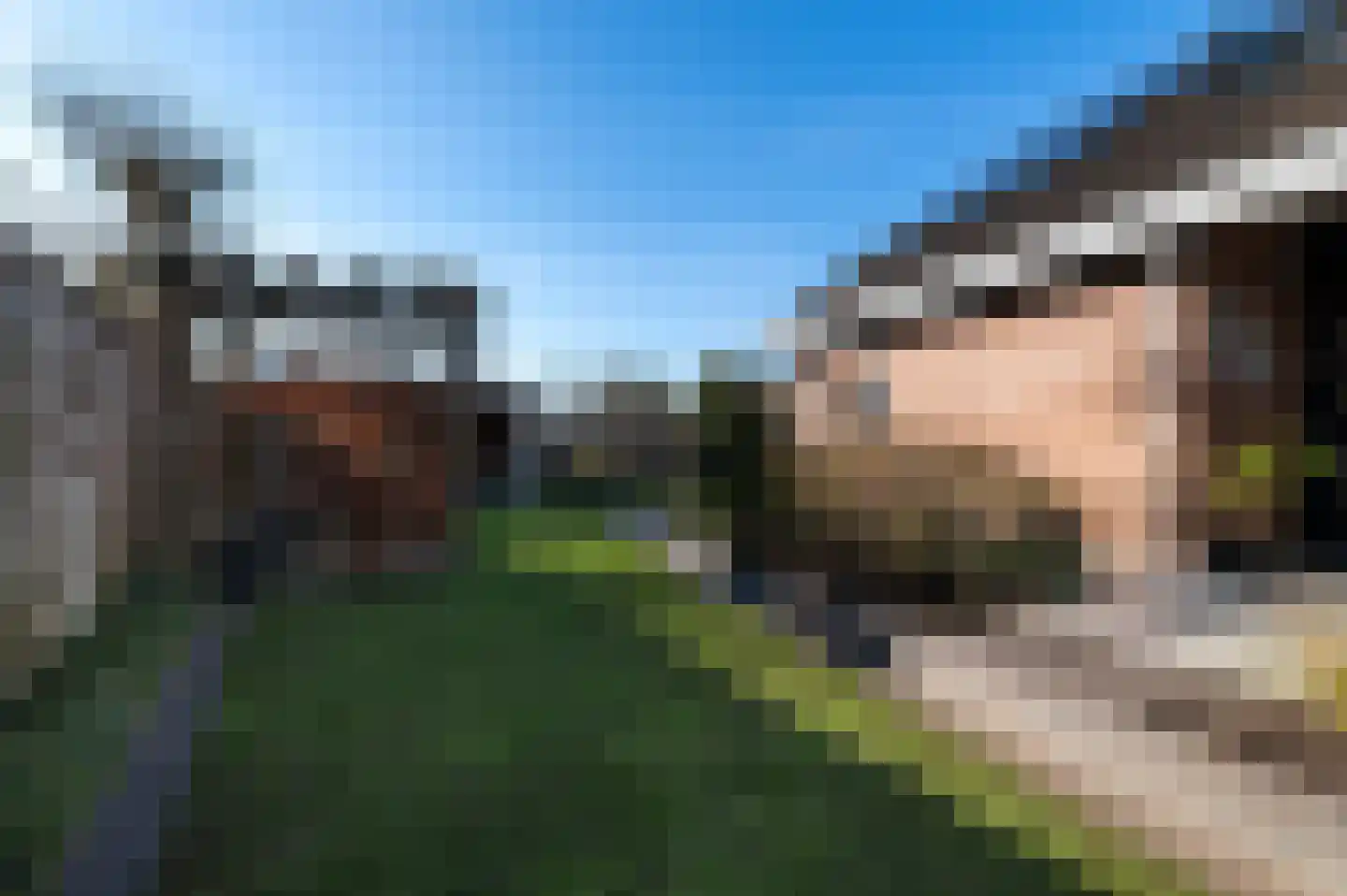 Traland 1 Eibergen thumbnail 53