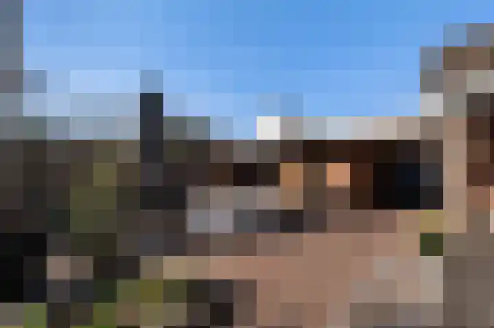 Traland 1 Eibergen thumbnail 57