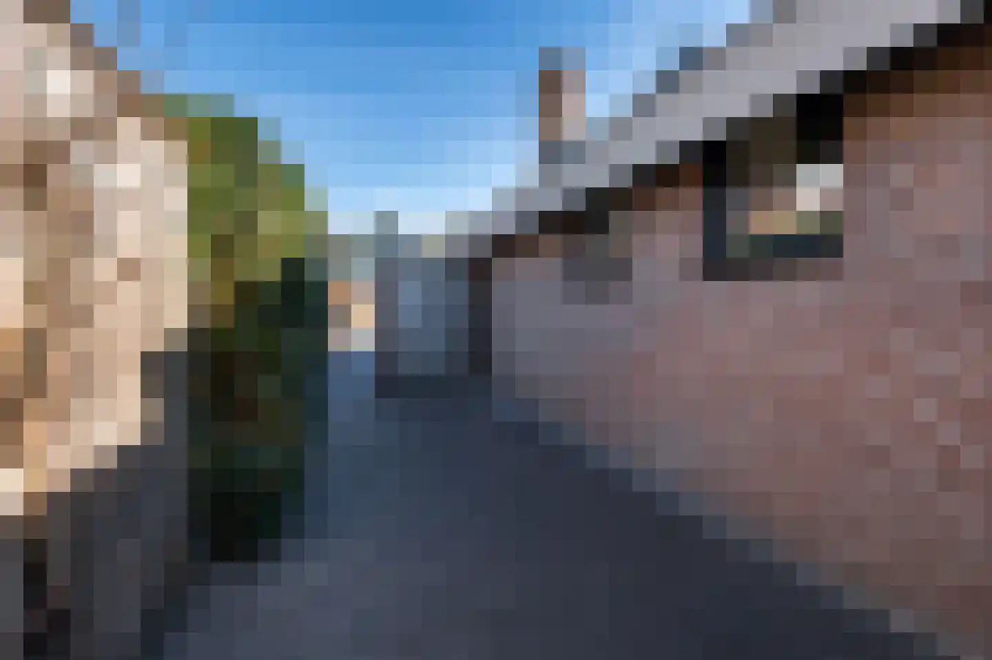 Traland 1 Eibergen thumbnail 61