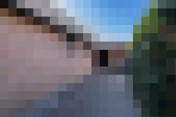 Traland 1 Eibergen thumbnail 62