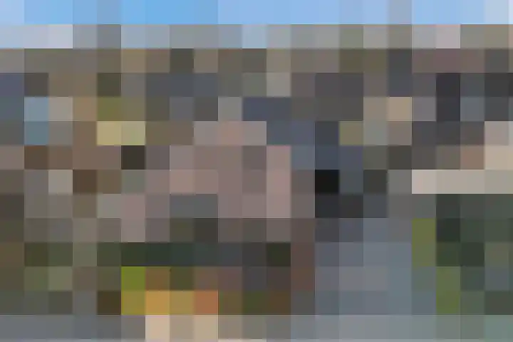 Traland 1 Eibergen thumbnail 63