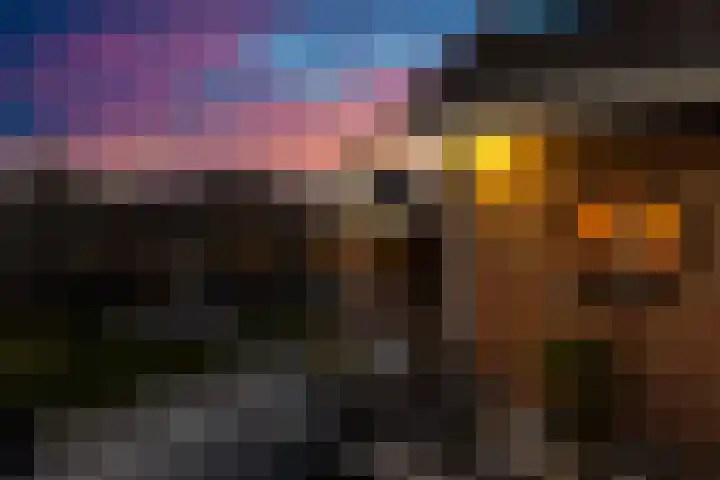 Traland 1 Eibergen thumbnail 66