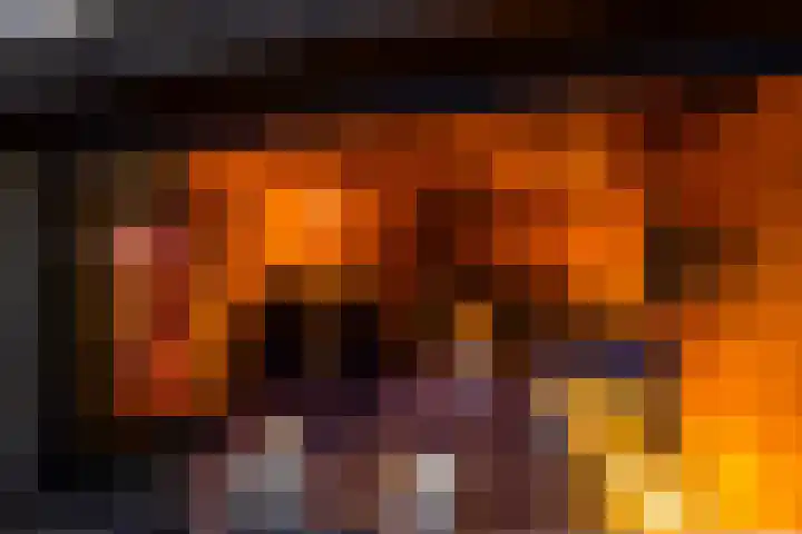 Traland 1 Eibergen thumbnail 70