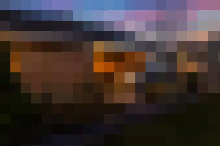 Traland 1 Eibergen thumbnail 71