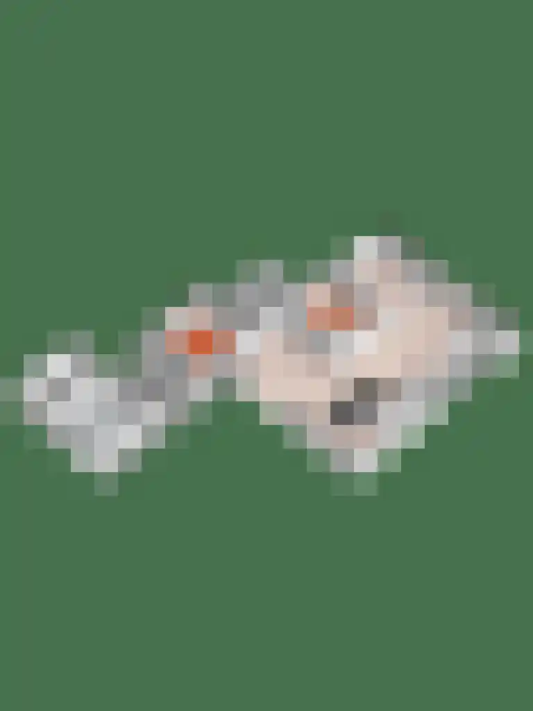 Traland 1 Eibergen thumbnail 73