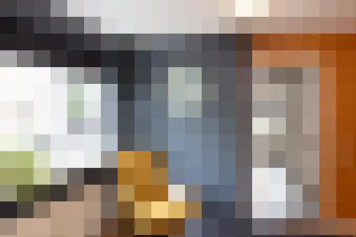Traland 3 Eibergen thumbnail 13