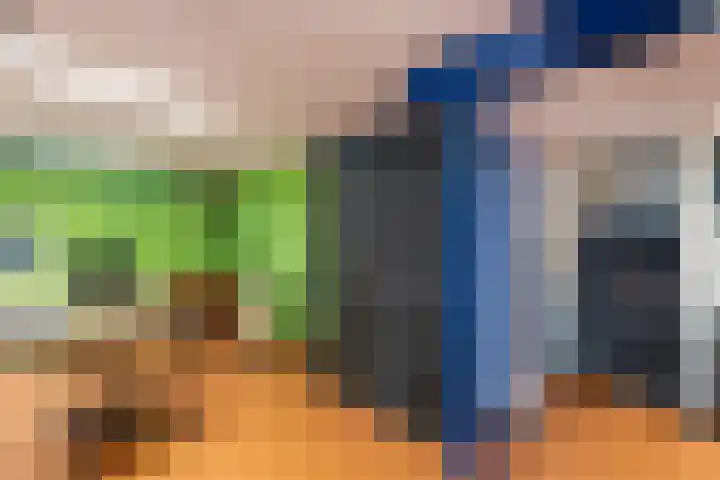 Traland 3 Eibergen thumbnail 31