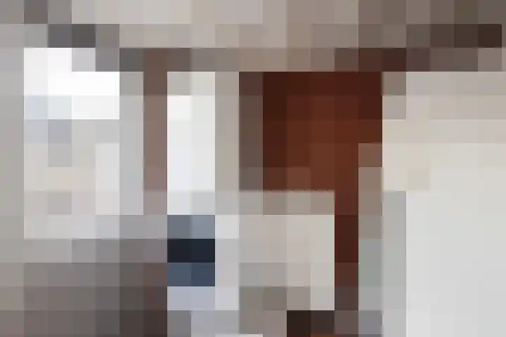 Traland 3 Eibergen thumbnail 33