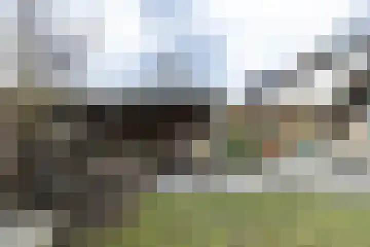 Traland 3 Eibergen thumbnail 39