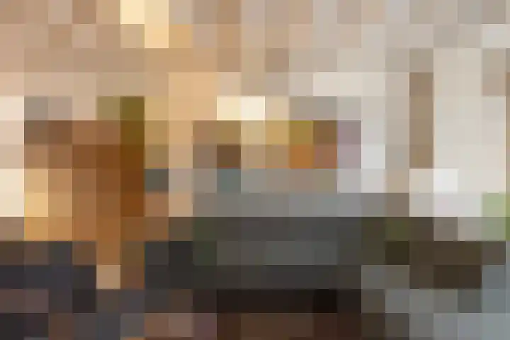 Traland 3 Eibergen thumbnail 4