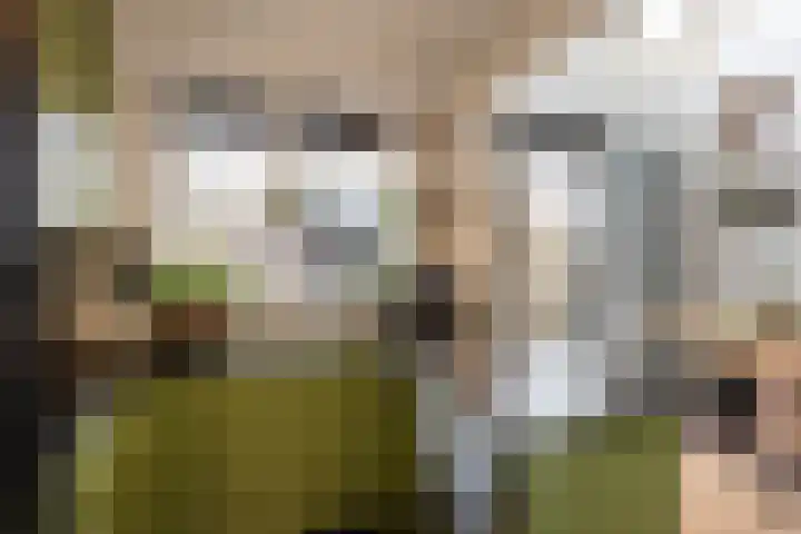 Traland 3 Eibergen thumbnail 6