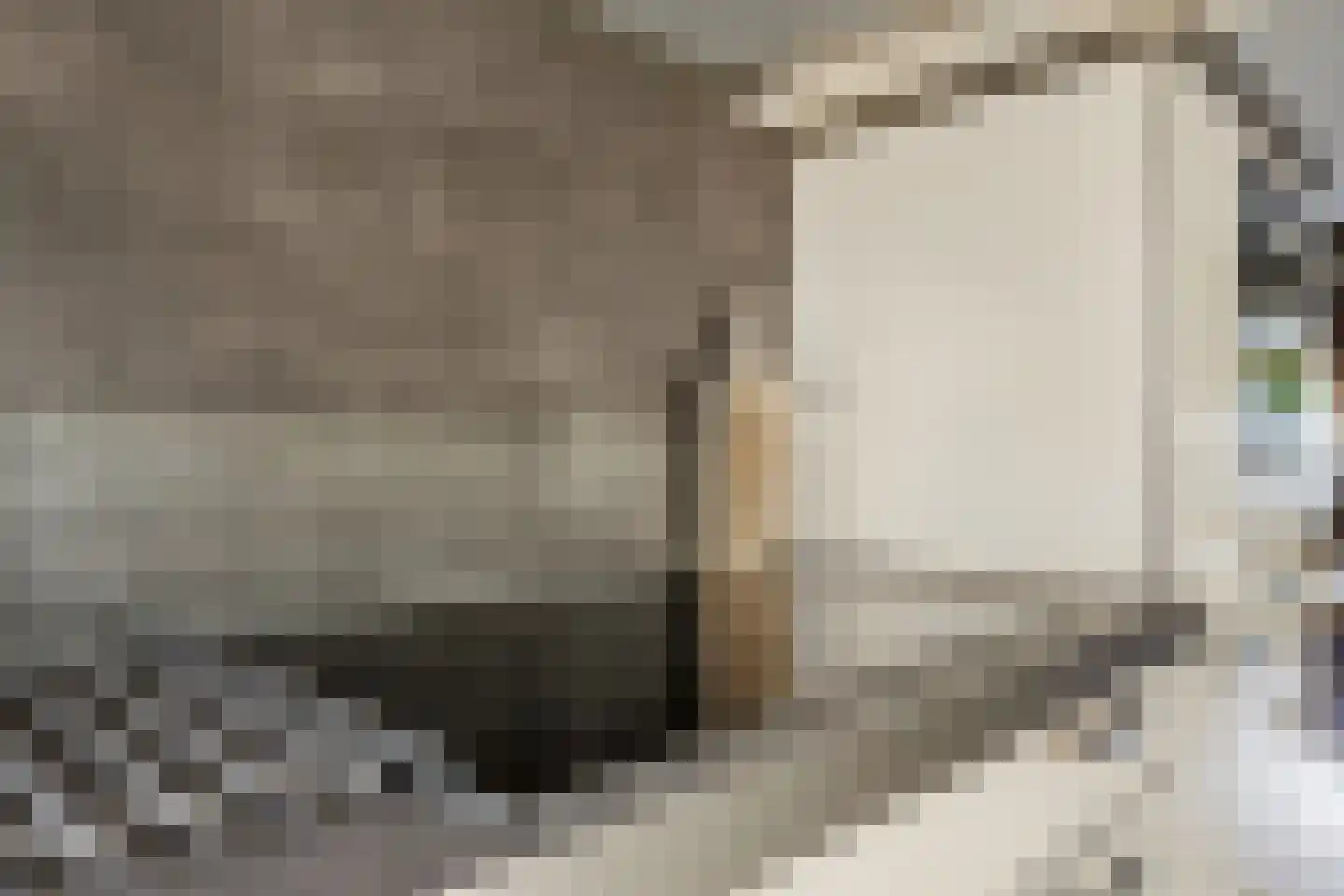 Traland 37 Eibergen thumbnail 12